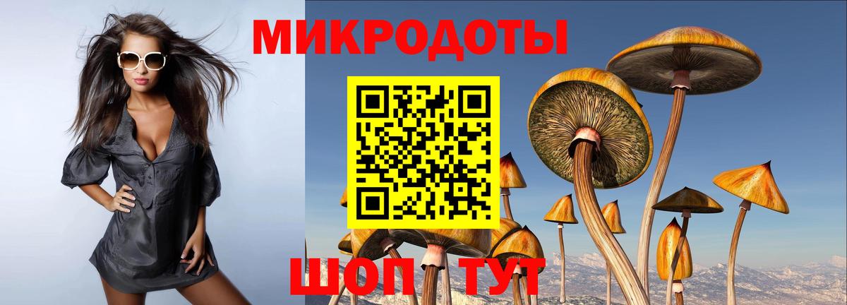 Псилоцибиновые грибы мицелий Маркс