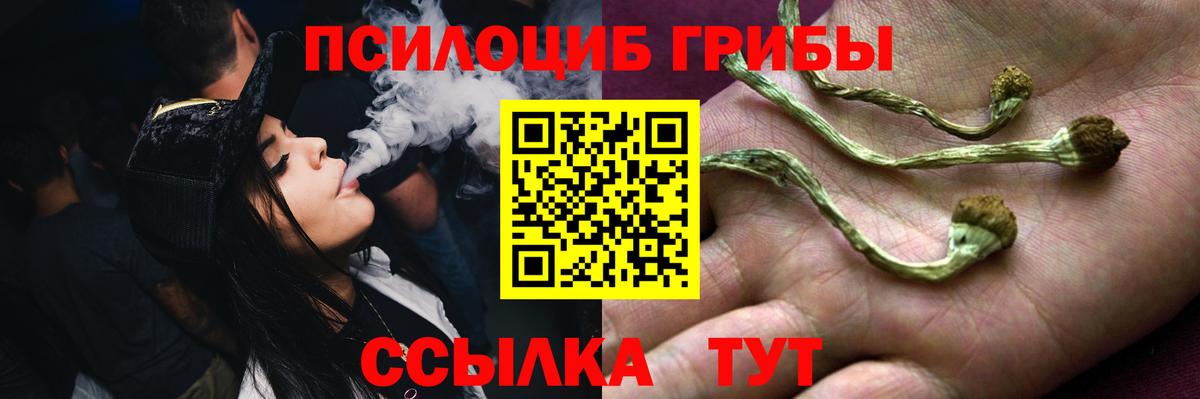 Галлюциногенные грибы Magic Shrooms  Маркс  Галлюциногенные грибы Psilocybe 